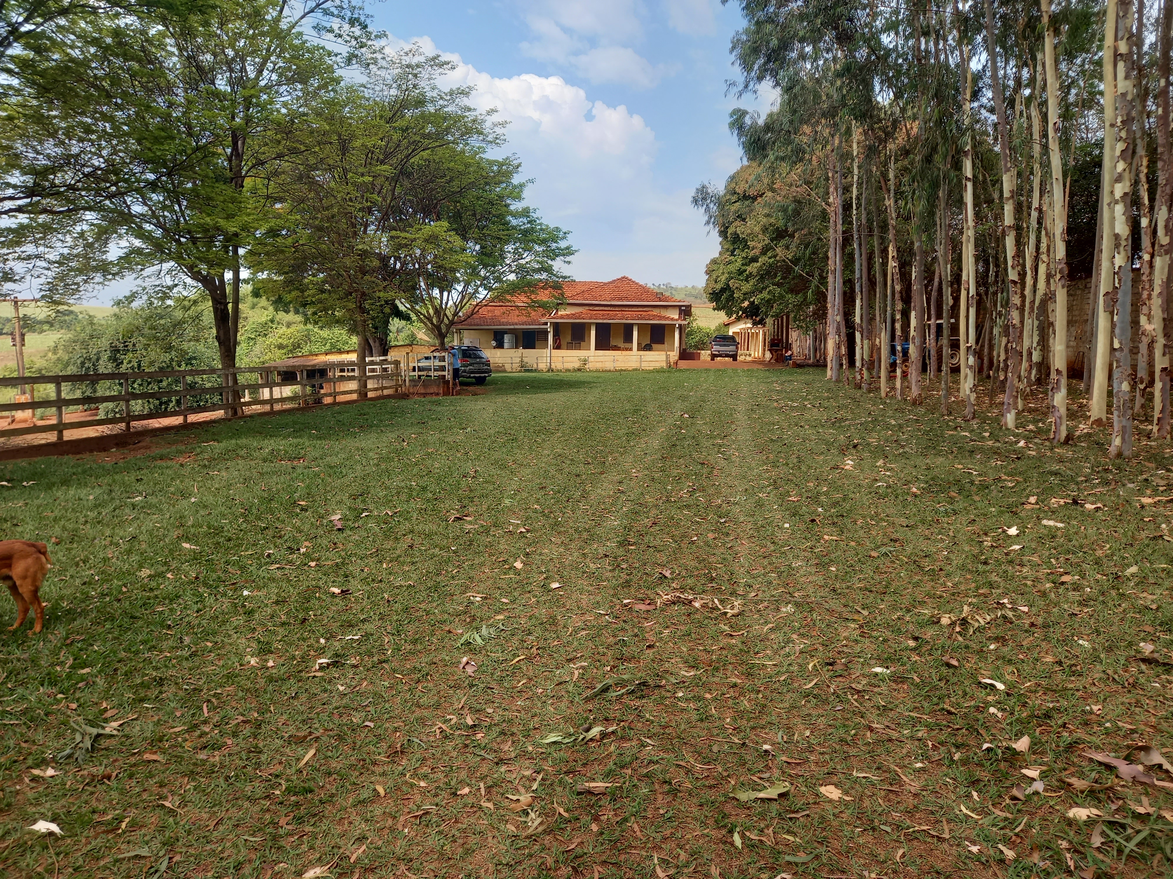 Imobiliária em Ribeirão Preto, Imobiliaria em Ribeirao Preto